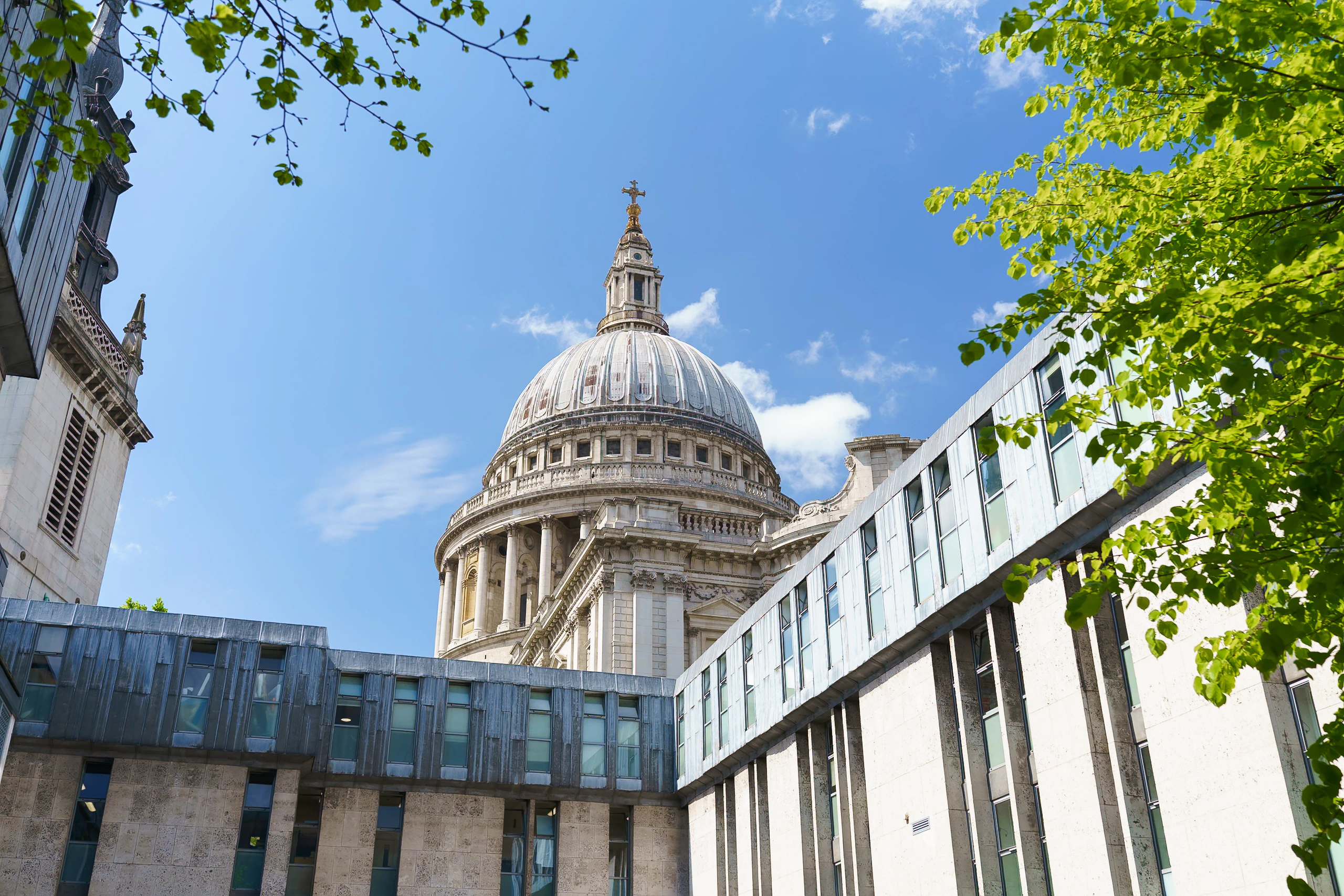 The dome of St Paul's Cathedral framed by green leaves and blue sky