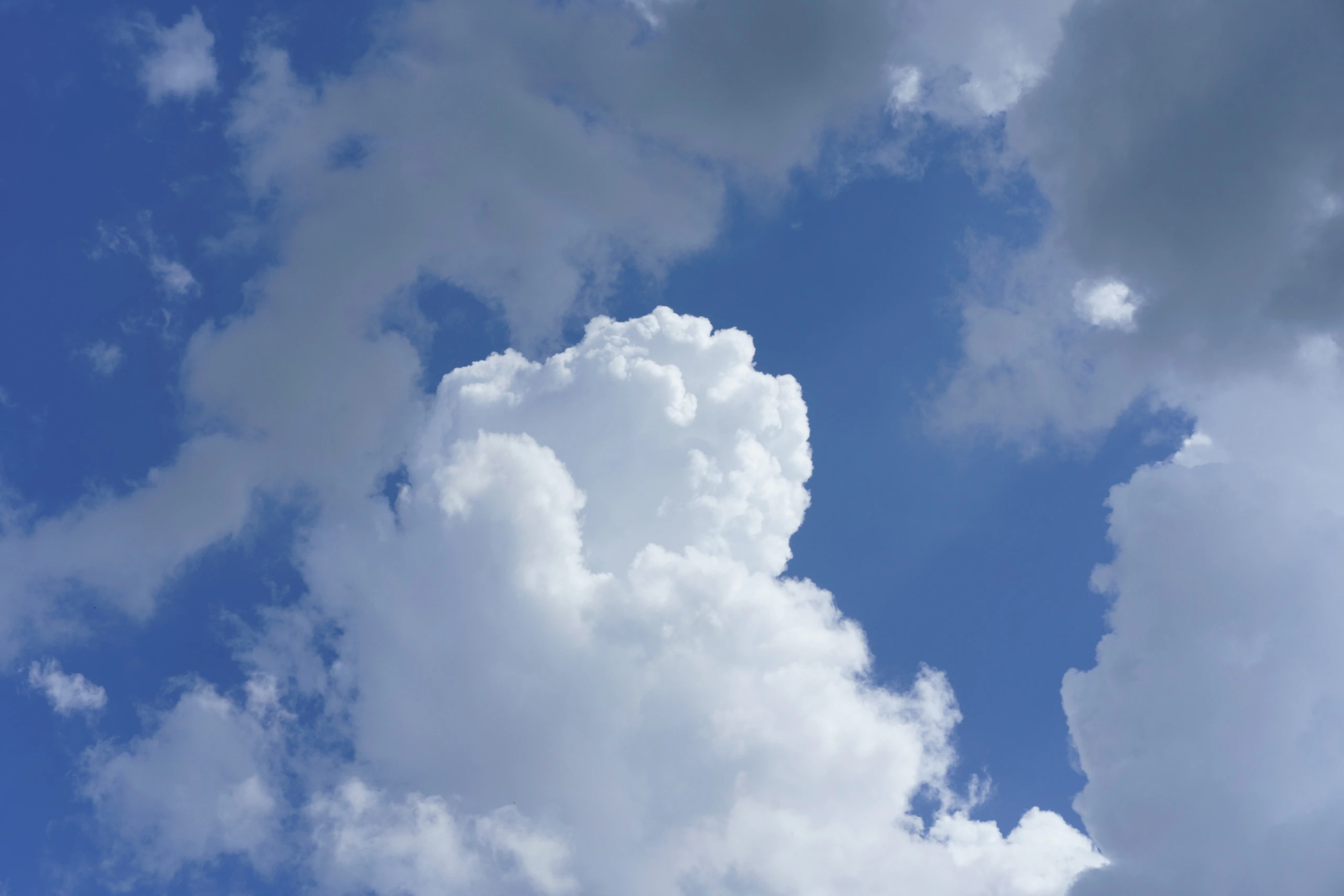 Towering white clouds framed by blue sky
