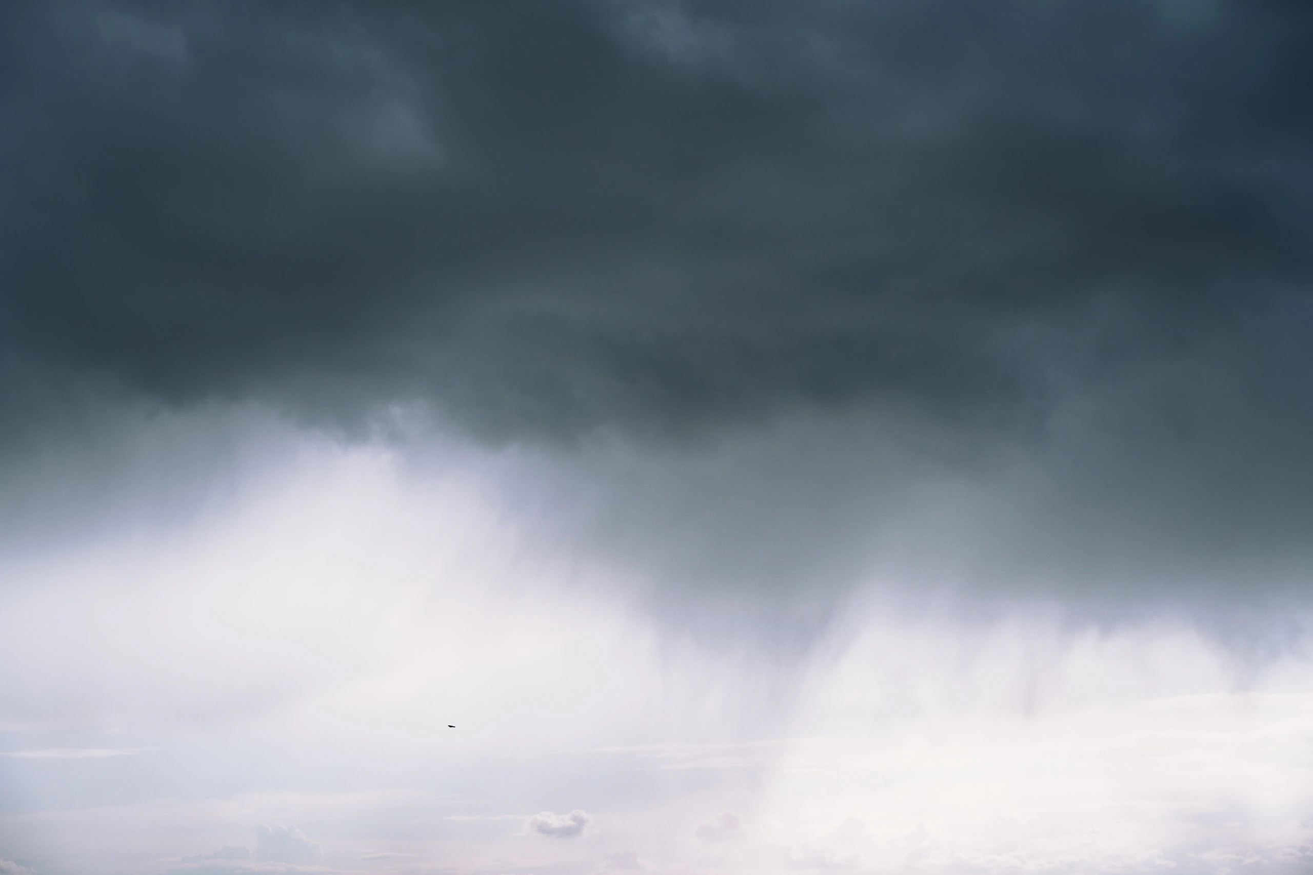 Dark cloud shelf and pale rain curtains