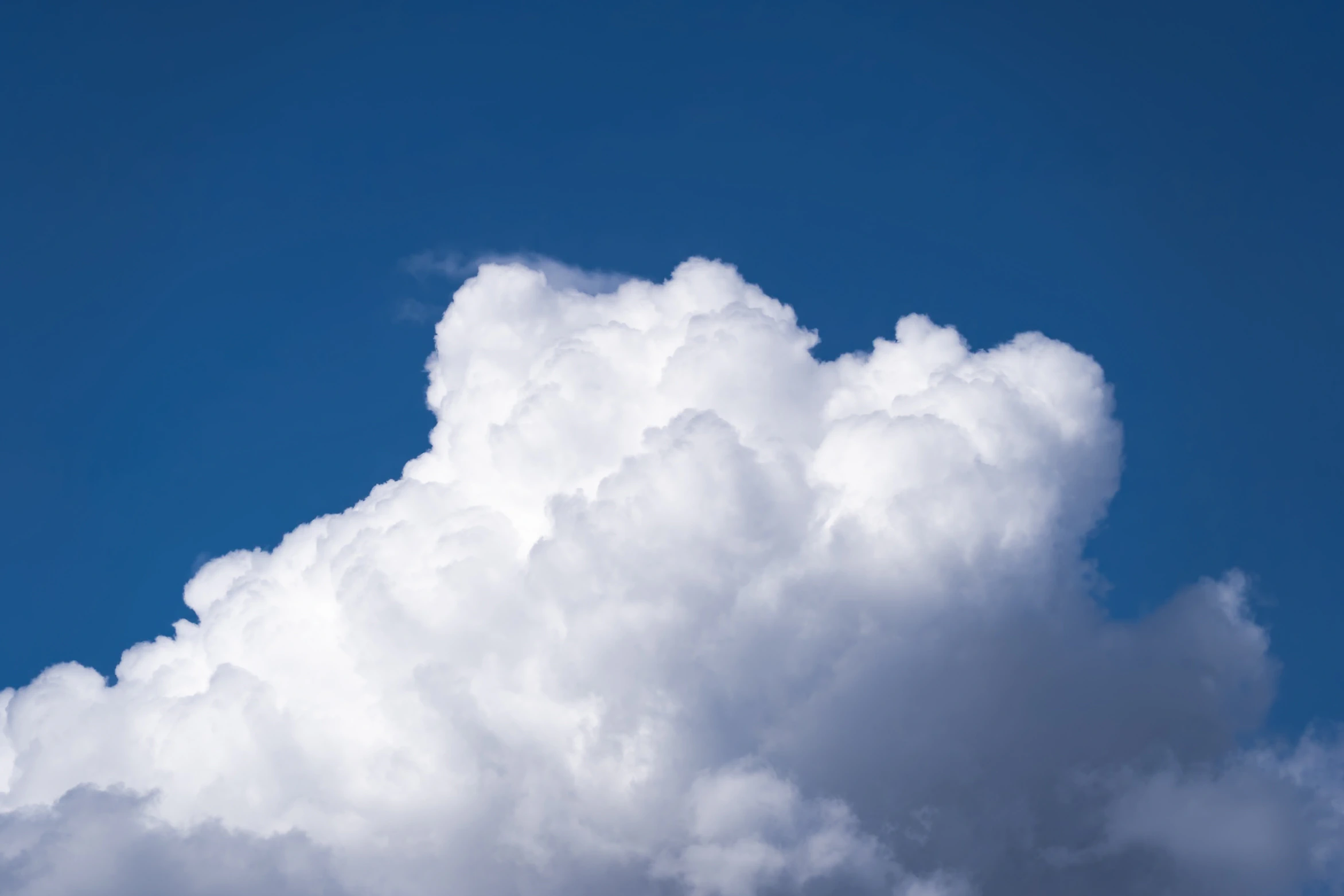 A brilliant white cumulus cloud rising into a deep blue sky