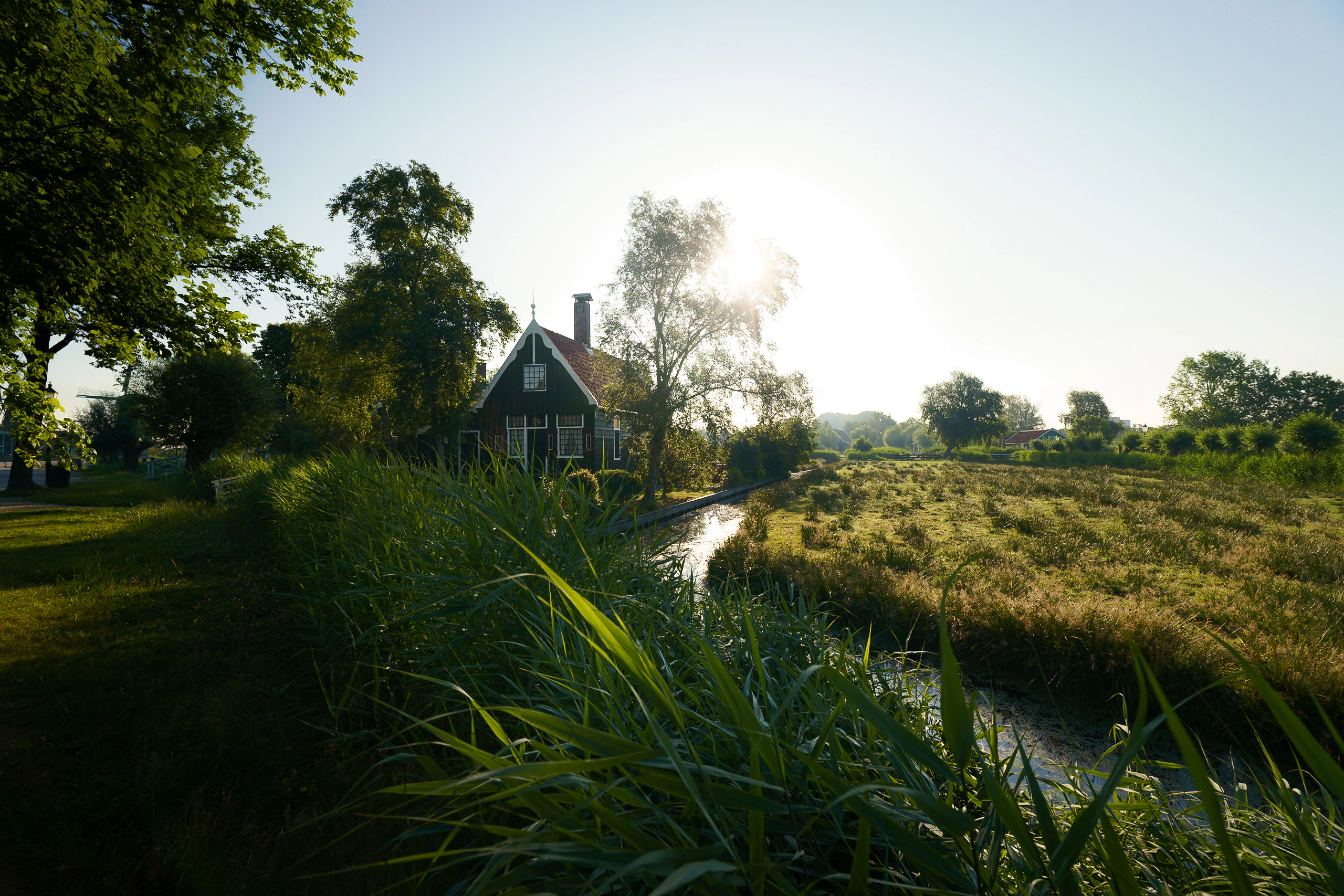 A green timber house beside a reed-lined canal in low sunlight