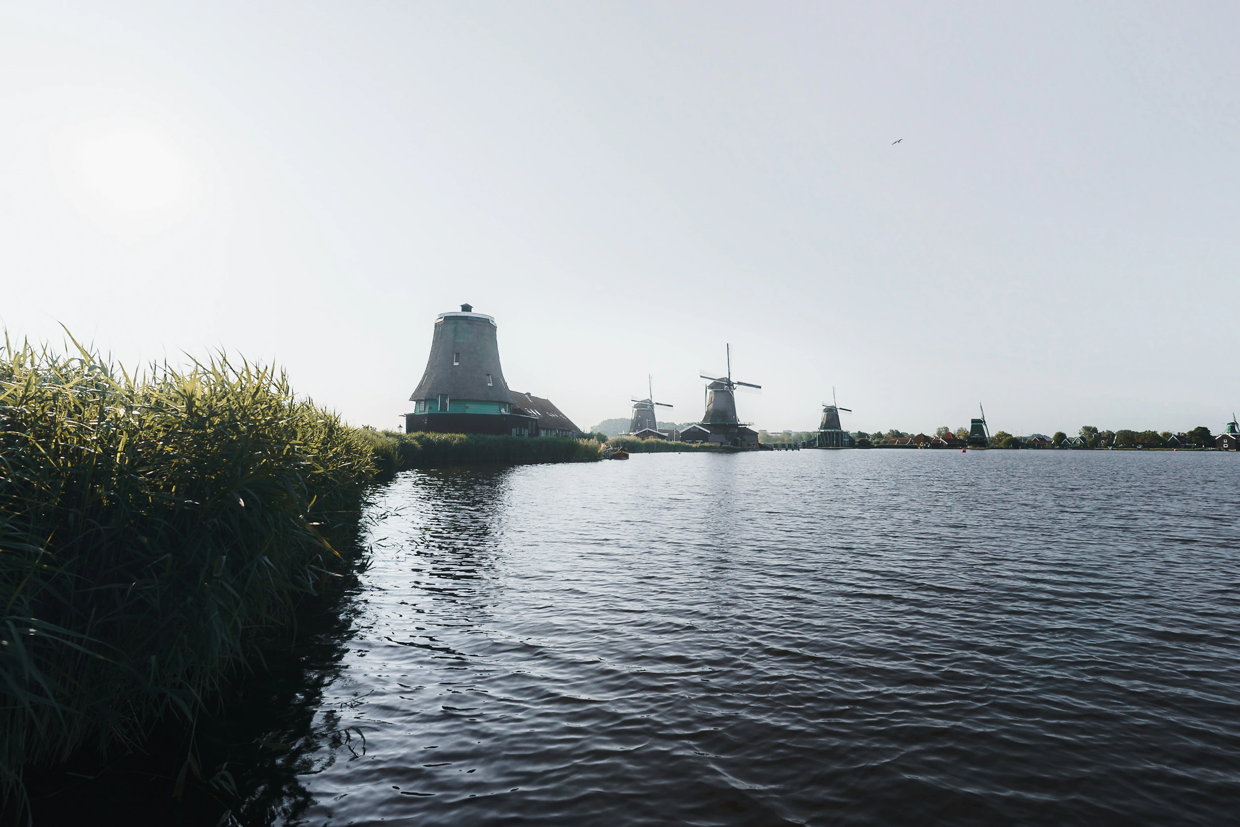 Windmills beside open water beneath a pale sky