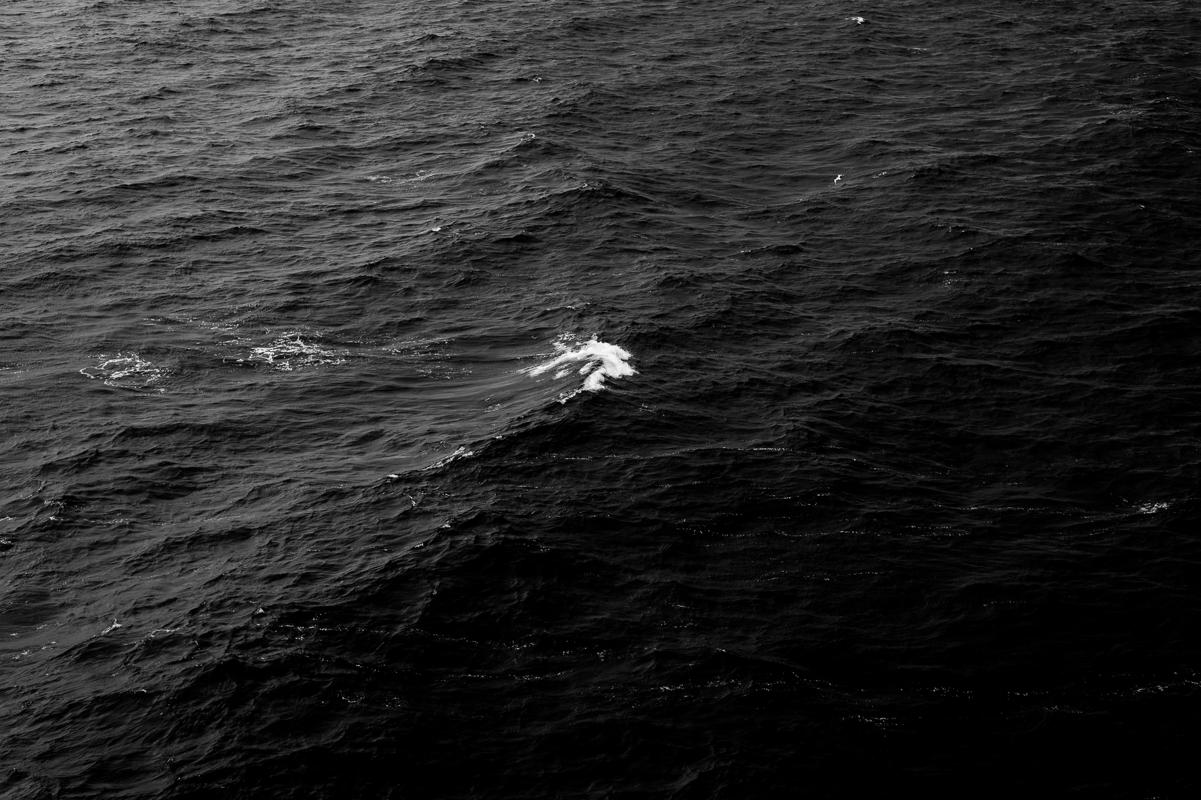 Dark ocean waves rendered in black and white